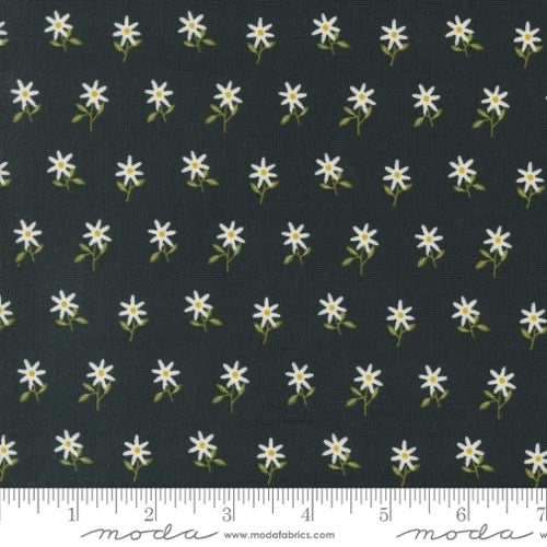 Imaginary Flowers - Ebony 548384-21 - 44" Wide - Moda