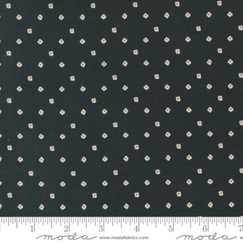 Imaginary Flowers - Ebony 548386-21 - 44" Wide - Moda