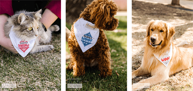 Kimberbell Fill in The Blank - August: You Had Me at Woof/Meow Kerchief - Set of 2 - Kawartha Quilting and Sewing LTD.