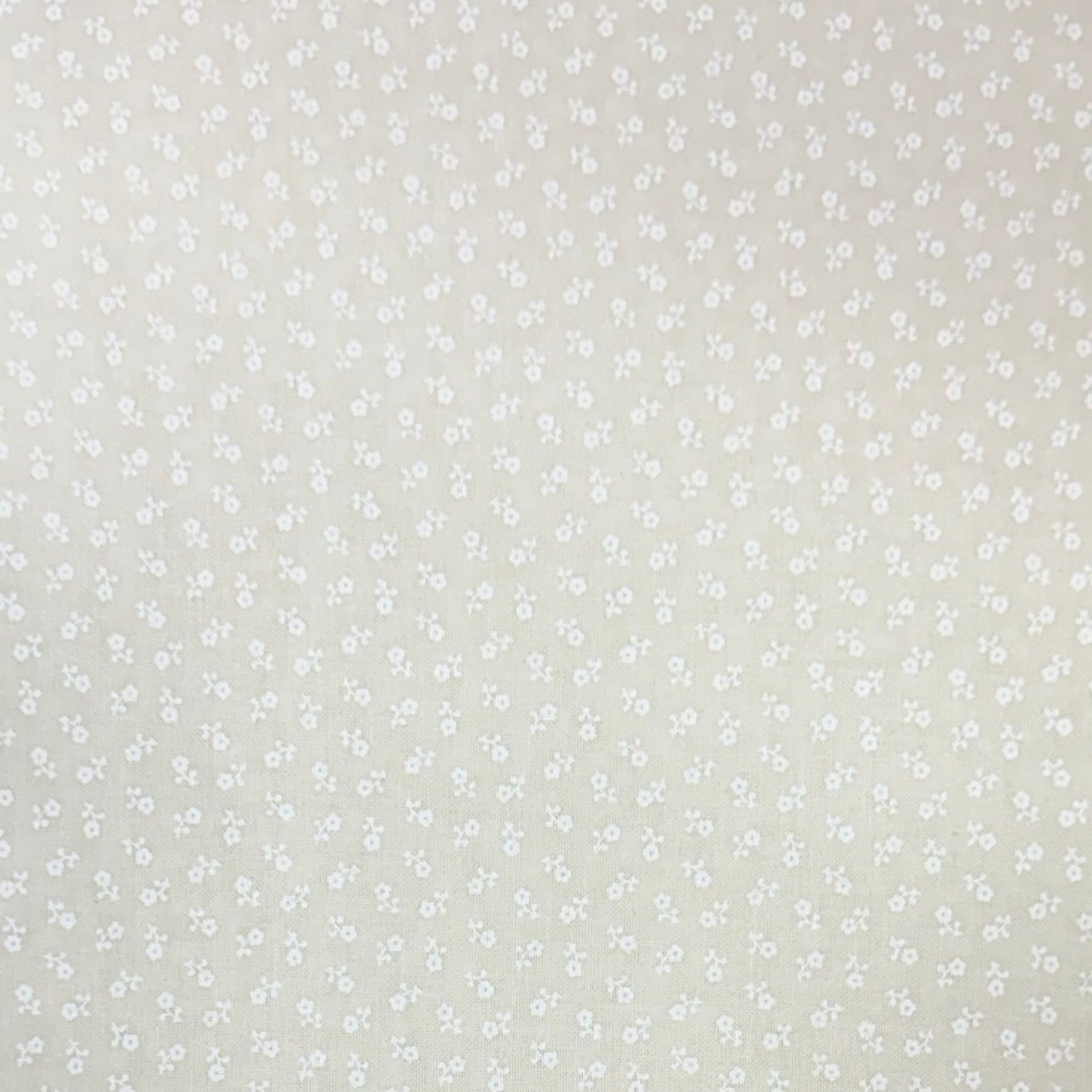 Tone on Tone - 19616-WT - 45" Wide - Santee Printworks