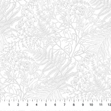 Nature's Sketchbook - Ferns - White - 44" Wide - Northcott
