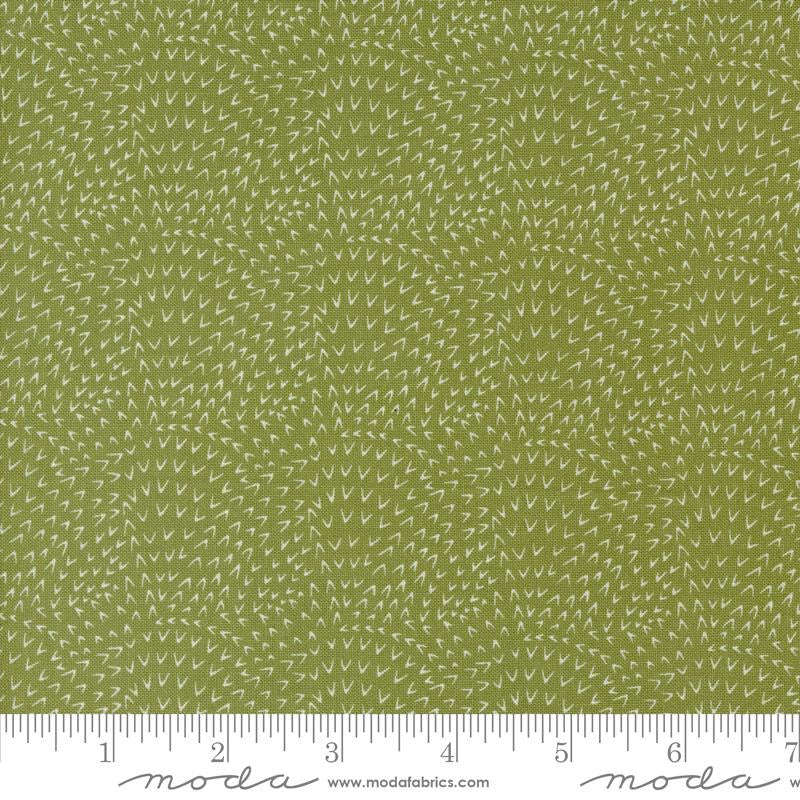 Woodland Wonder - Fern - 548396-19 - 44" Wide - Moda