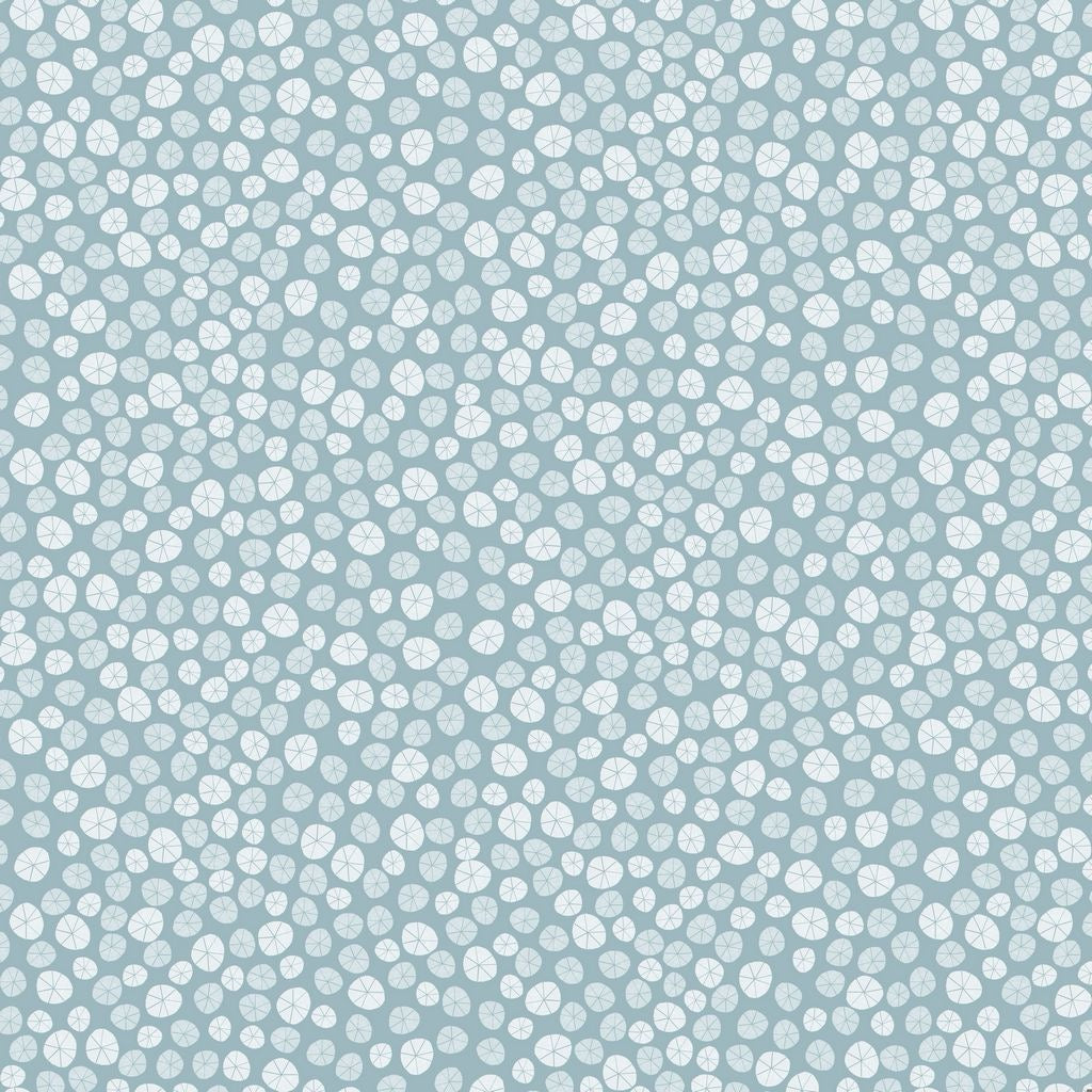 Beyond the Sea - Sand Dollar - Sky - 44" Wide - Dear Stella