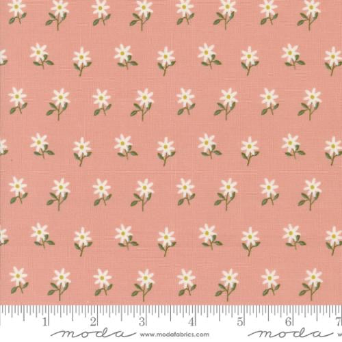 Imaginary Flowers - Blossom 548384-18 - 44" Wide - Moda